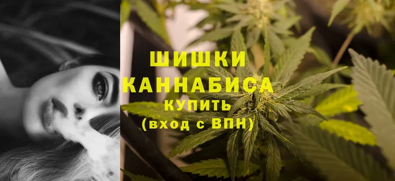 Шишки марихуана Amnesia  KRAKEN онион  Пудож 